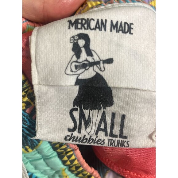 Chubbies Swim Trunks Fish S Pink Striped Resort Vacation Retro Preppy Colorful - Picture 2 of 11